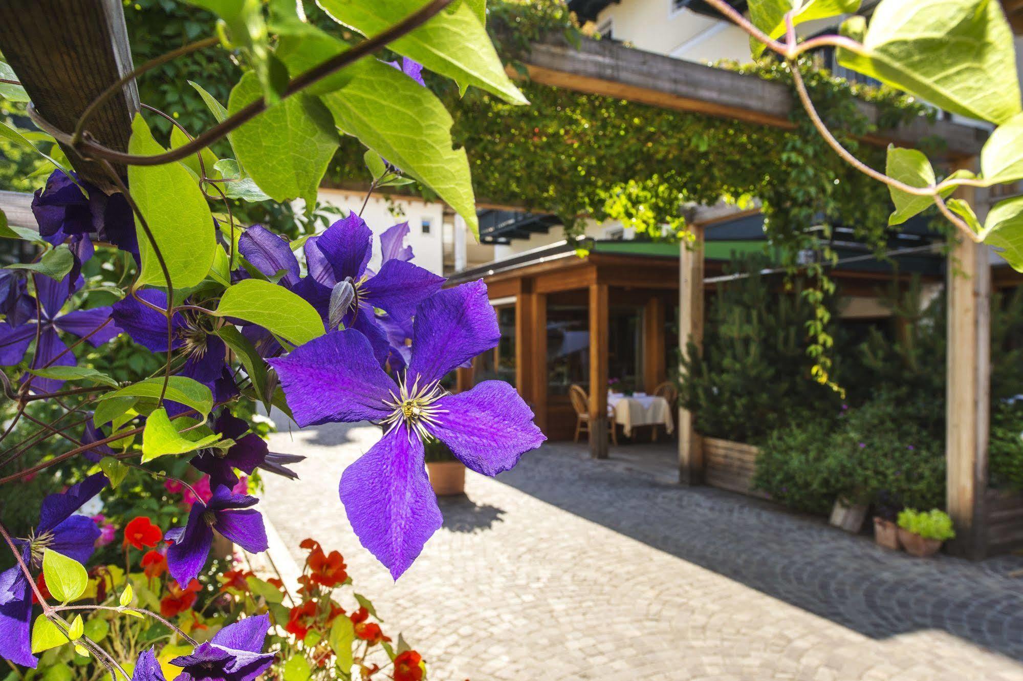 Hotel Drumlerhof Campo Tures Zewnętrze zdjęcie